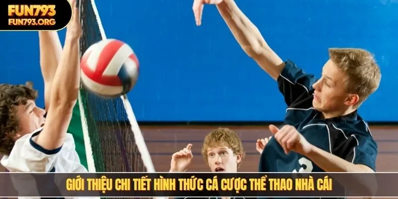 Giới thiệu chi tiết hình thức cá cược thể thao nhà cái