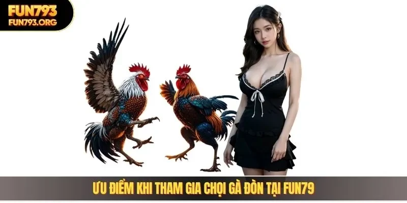 Ưu điểm khi tham gia chọi gà đòn tại Fun79